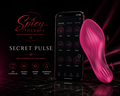 Secret Pulse